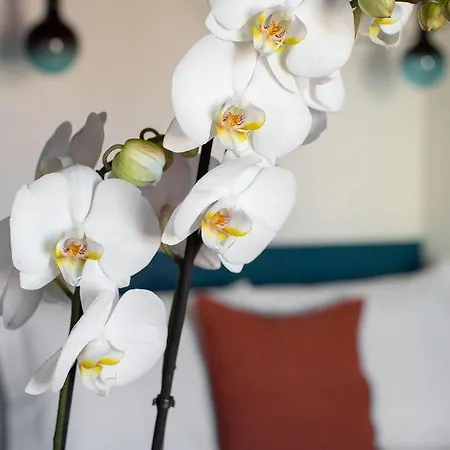Aparthotel Casa Do Torel - Suites Designs Au Coeur De Lisbonne *